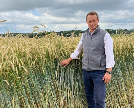 Image of a farmer wearing a white shirt and a grey fleece gilet stood in a field of rye crop.