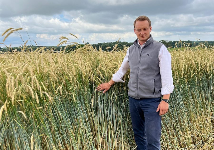 Image of a farmer wearing a white shirt and a grey fleece gilet stood in a field of rye crop.