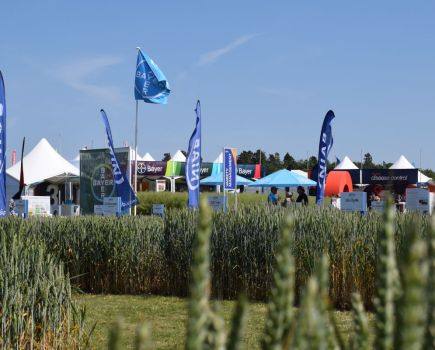 Cereals Event Report: A collaborative way forward