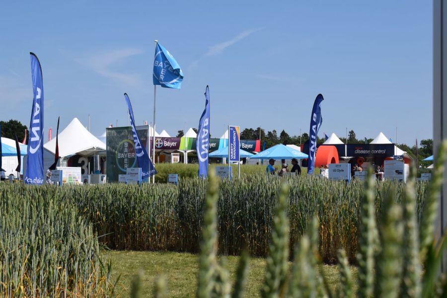 Cereals Event Report: A collaborative way forward