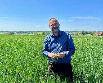 Grassweed control: A challenging year