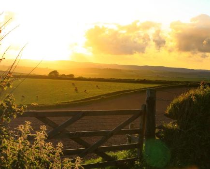 Farmers Club Conference: The truth of the matter