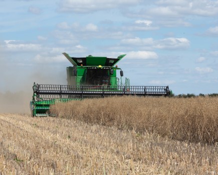 An image of a green combine harvester taking in an oilseed rape crop, presenting as beige coloured straw like plants; set against a blue sky with clouds.