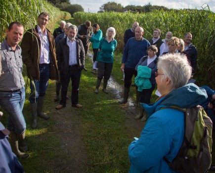 Image shows a group of people stood outside wearing outdoor clothing, near to a crop of miscanthus.