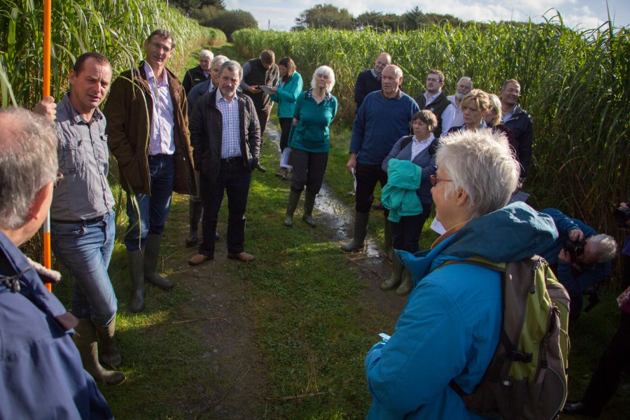 Image shows a group of people stood outside wearing outdoor clothing, near to a crop of miscanthus.