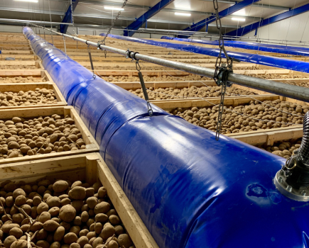Sprout Suppression after CIPC … industry learnings three years on