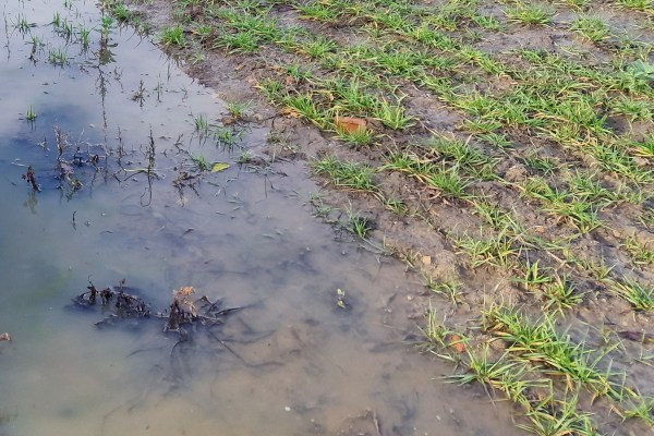 An image of a waterlogged arable field with a pool of standing water.