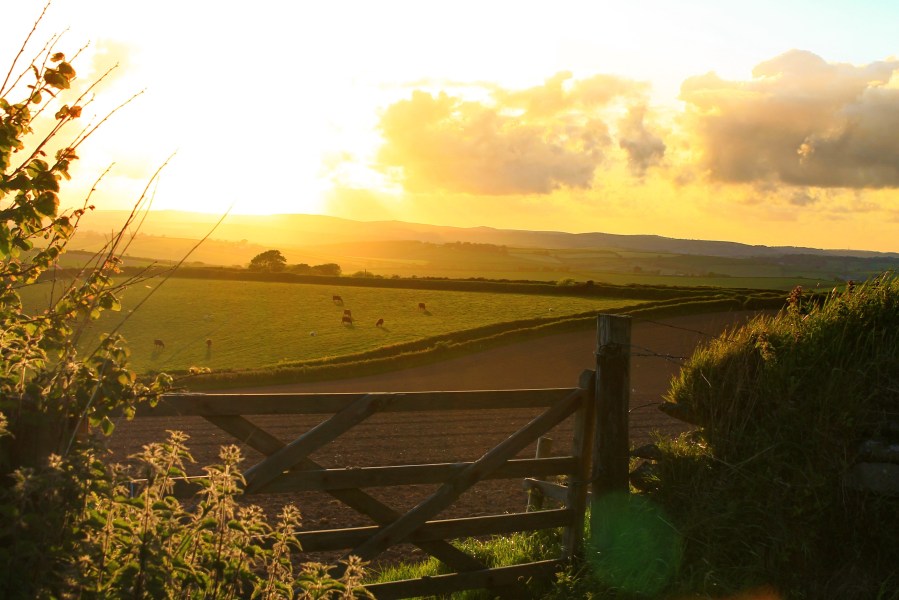 Image of a rural sunset depicting a farmland gate and fields.