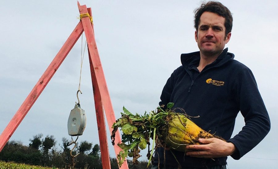 An image of an agronomist nursing a fodder beet, stood outside wearing a fleece jacket.