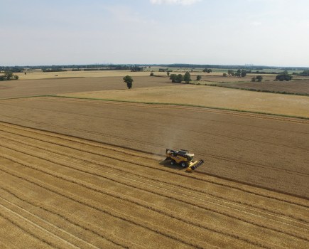 An aerial image of a combine harvester in a ripe field of wheat.