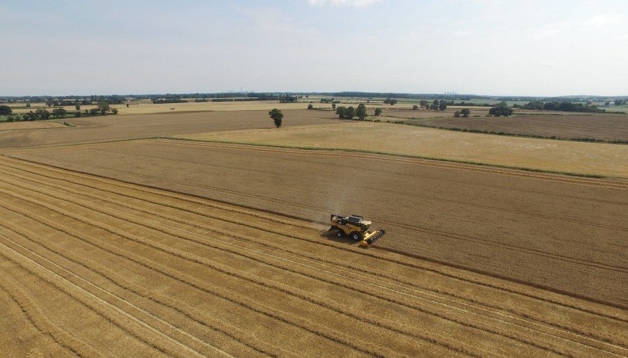 An aerial image of a combine harvester in a ripe field of wheat.