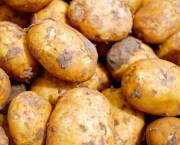 A close up image of a pile of potatoes.