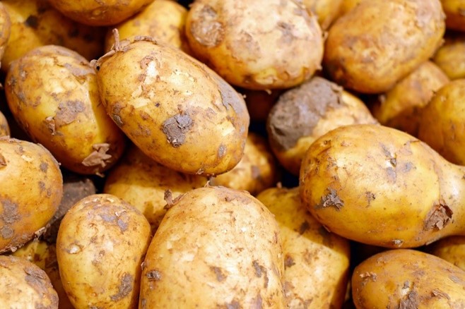 A close up image of a pile of potatoes.