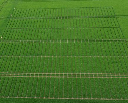 Nitrogen management & nutrition: Bridging the gap