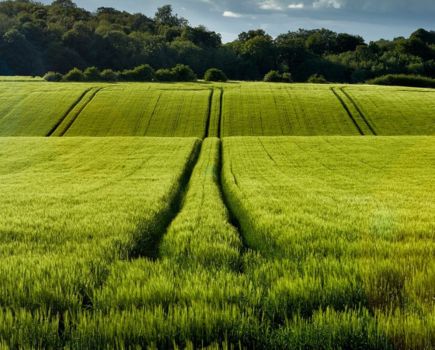 Adapting disease management: Proactive T1 planning