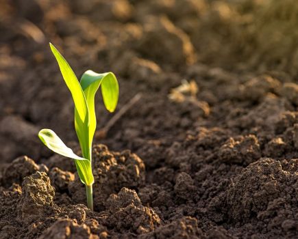 BASE-UK conference: Energising soil health
