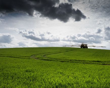 Pushing Performance: Adjuvant advice