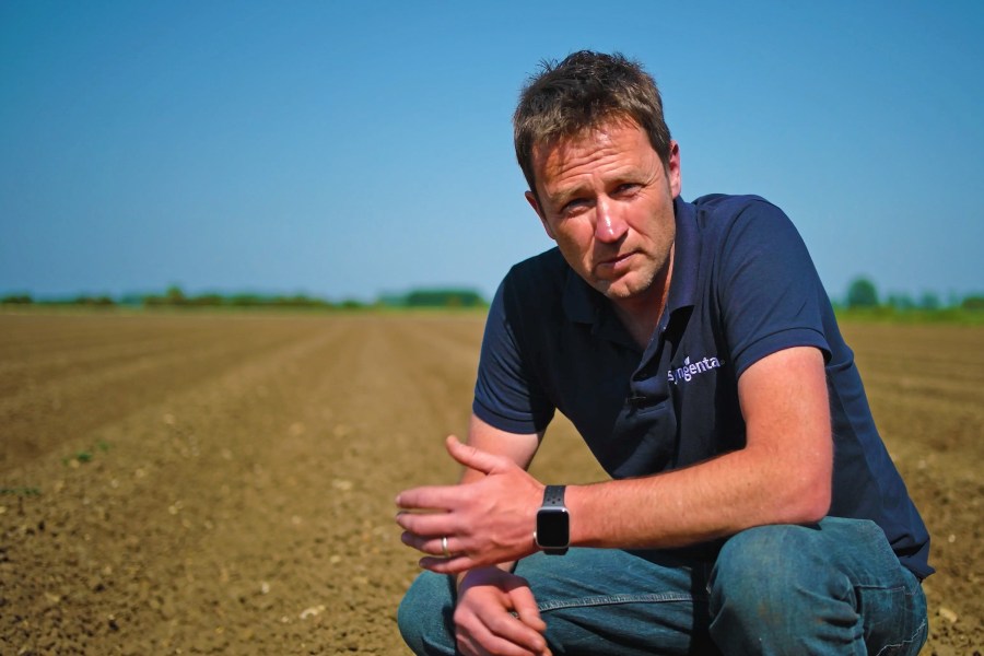 An image of a white man kneeling in a potato field, wearing a blue t-shirt.