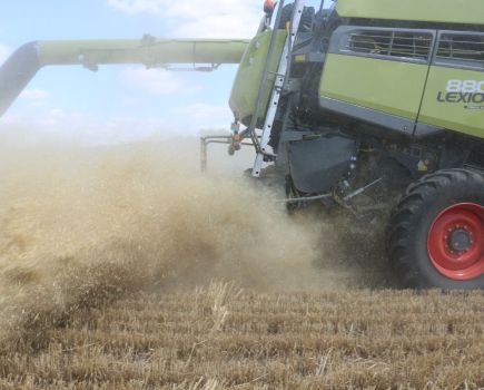 Sustainable weed control: Widening the window for weed control