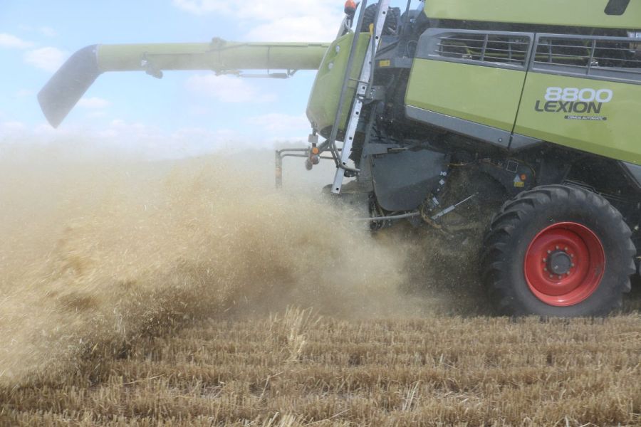 Sustainable weed control: Widening the window for weed control