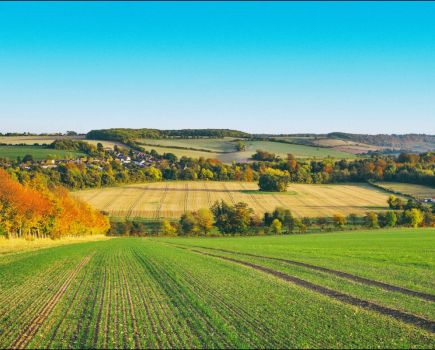 Sustainable Solutions: Making every hectare pay