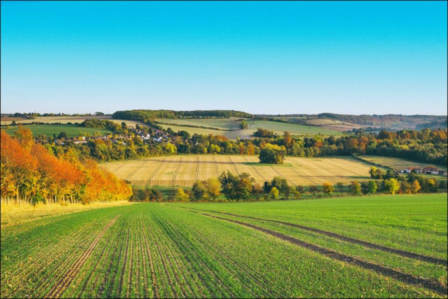 Sustainable Solutions: Making every hectare pay