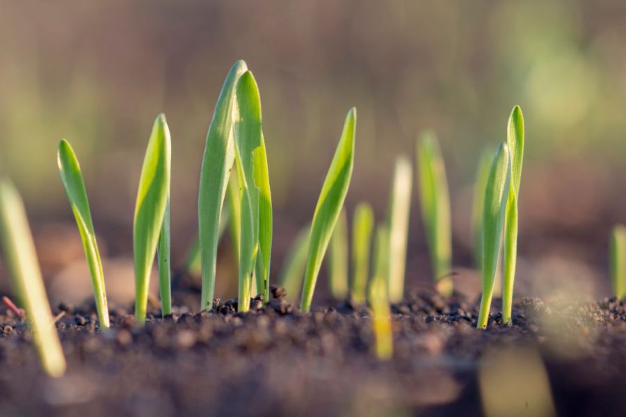 Bioscience in brief: Tiros 2.0