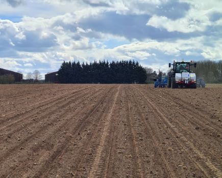 Alternative approaches to sugar beet: Nitrogen nuances
