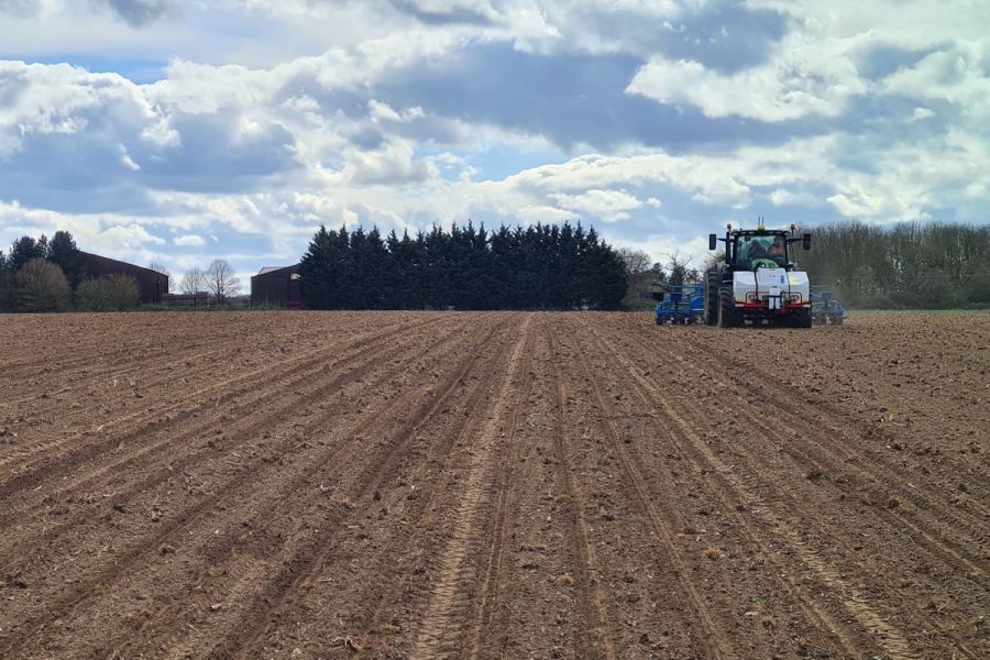 Alternative approaches to sugar beet: Nitrogen nuances