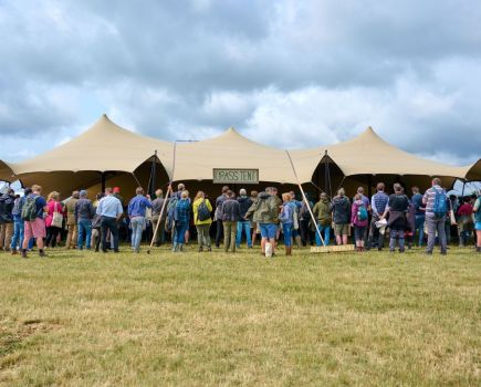 Groundswell preview: A meeting of minds