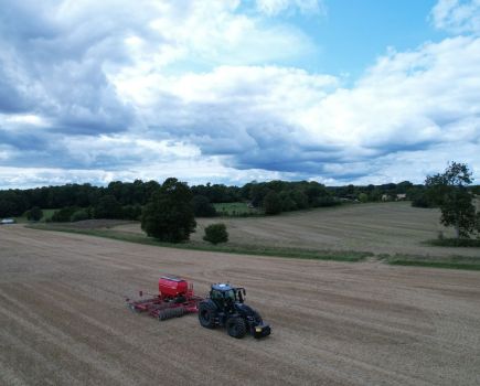 OSR new season: A recipe for success