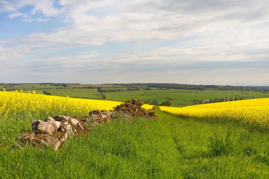 Sustainable Solutions: A wider viewpoint