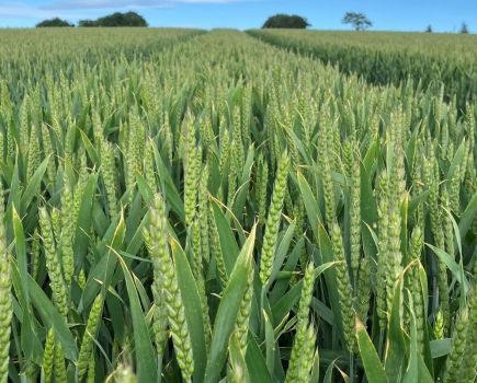 Responsive rotations: Farming for tomorrow