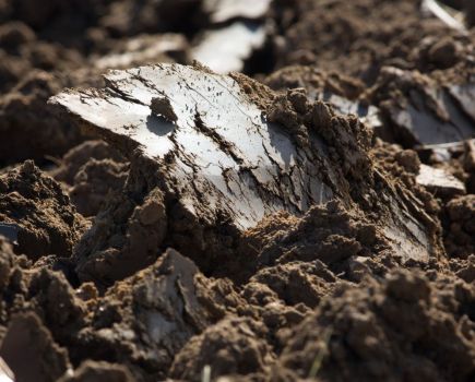 Pushing Performance: Saving soils this autumn