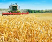 Harvest: A season in review