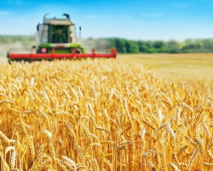 Harvest: A season in review
