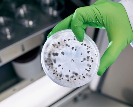 Ghent visit: Biotech pioneers
