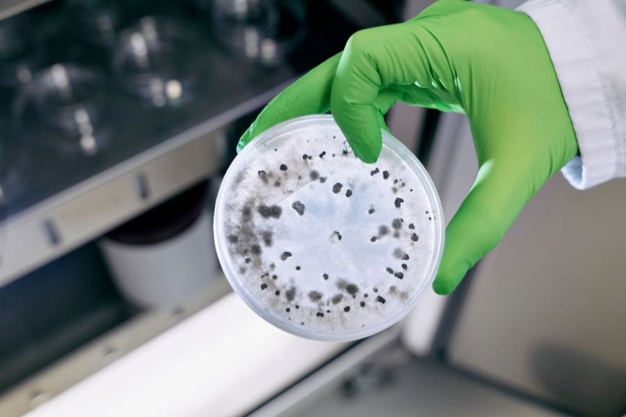 Ghent visit: Biotech pioneers