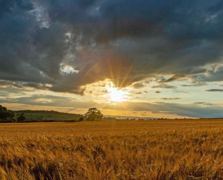 Theory to field: Balancing nutrient management priorities
