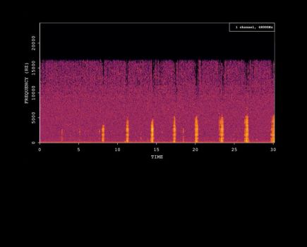 Soil ecoacoustics: Sound of the underground