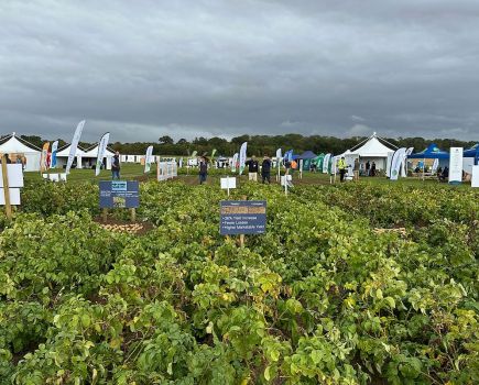 Potato Days event: Net zero potatoes
