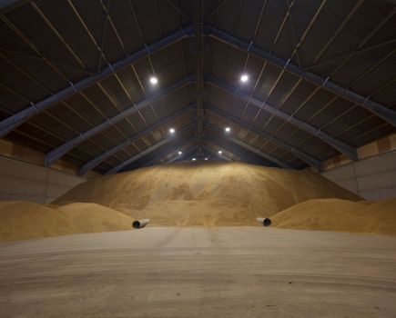 Pest control: Guarding grain