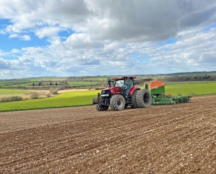 Pulse Progress: Opportunities for organic with pulses