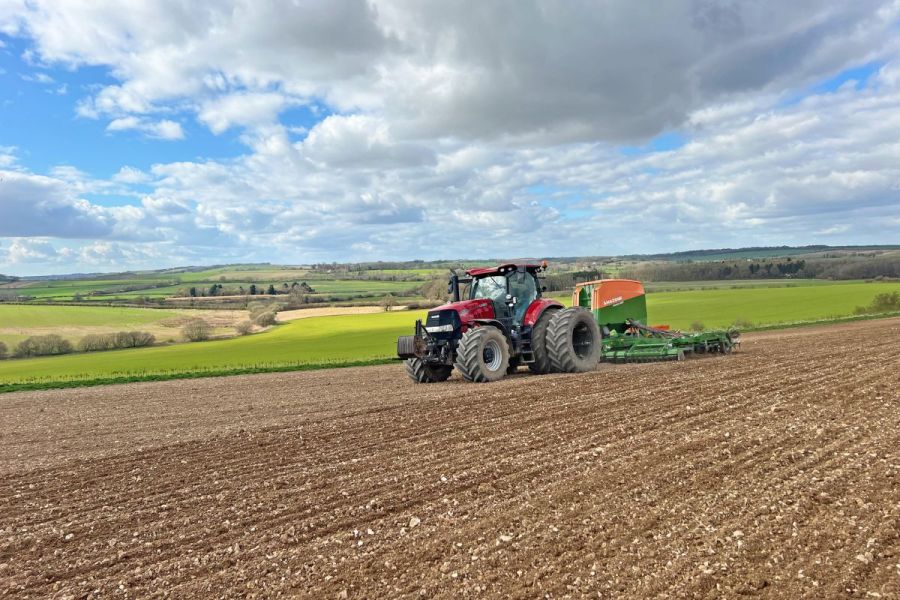 Pulse Progress: Opportunities for organic with pulses