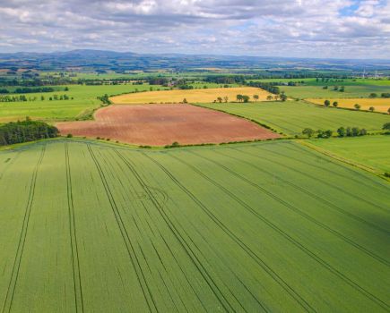 Land Use Framework: Conversations on land use