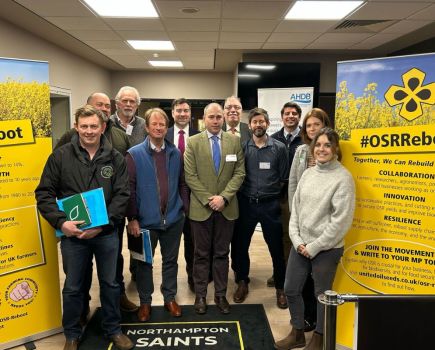 OSR Reboot: More than just a break crop