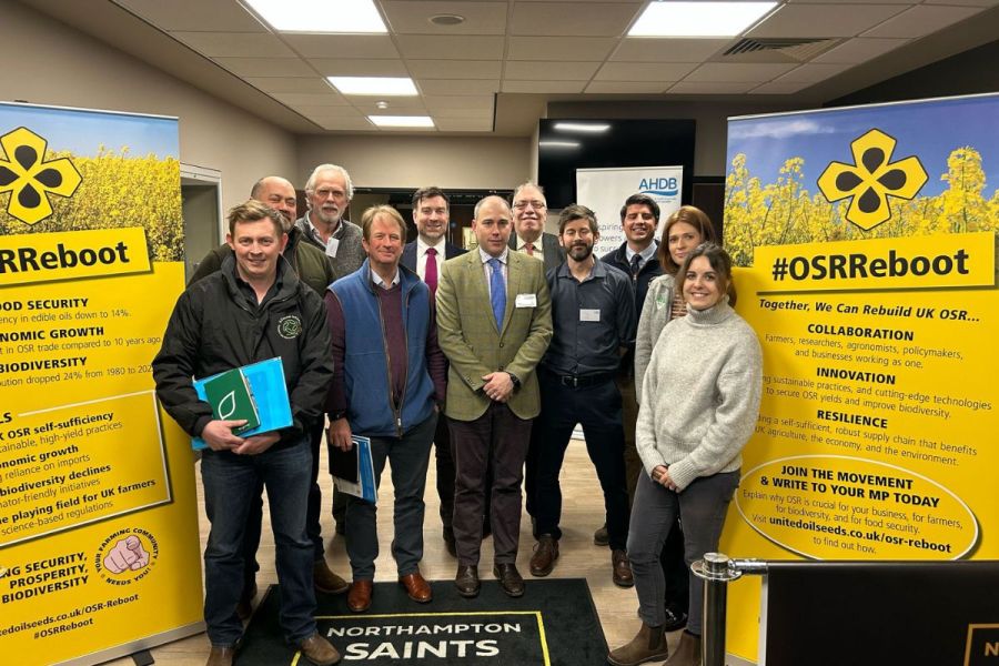 OSR Reboot: More than just a break crop