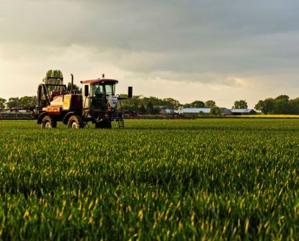 Real Results Roundtable: Managing disease risk in winter wheat