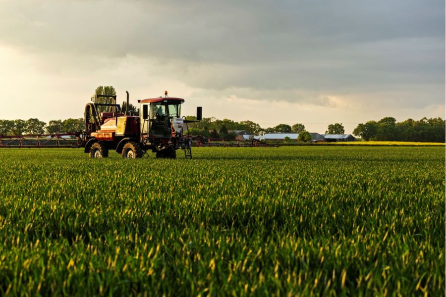 Real Results Roundtable: Managing disease risk in winter wheat
