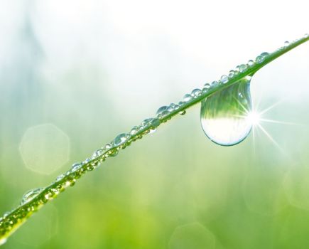 Biological product adoption: Overcoming biological barriers